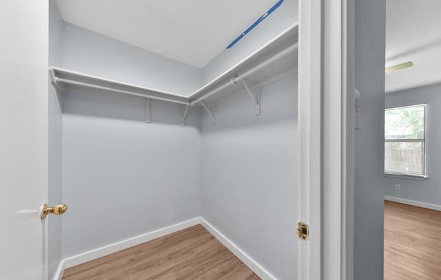 13020  Oconnor Cv, San Antonio, TX 78233 — photo 19