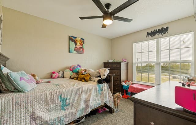 500  County Road 2645, Moore, TX 78057 — photo 15