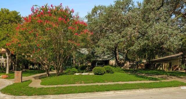 13311  La Vista Dr, San Antonio, TX 78216 — photo 5