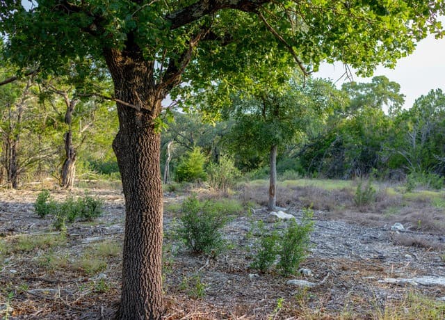 LOT 12  Monterey Trail, Boerne, TX 78006 — photo 4