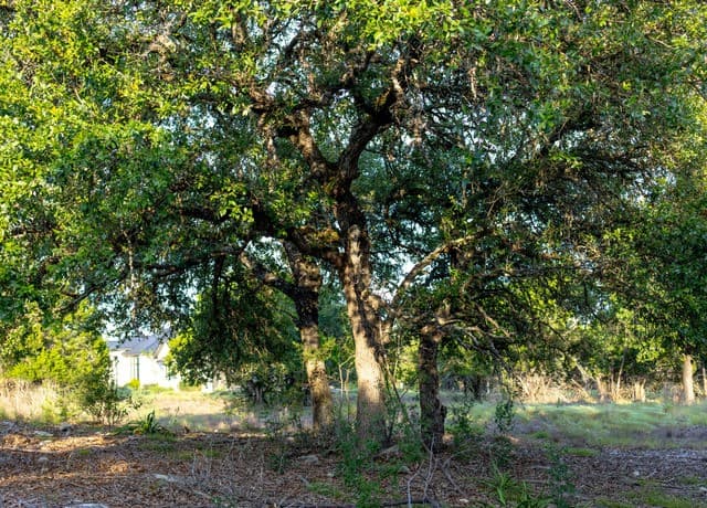 LOT 12  Monterey Trail, Boerne, TX 78006 — photo 7