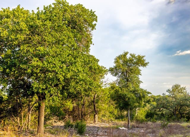LOT 12  Monterey Trail, Boerne, TX 78006 — photo 9