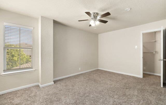 10814  Mustang Oak Dr, San Antonio, TX 78254 — photo 25