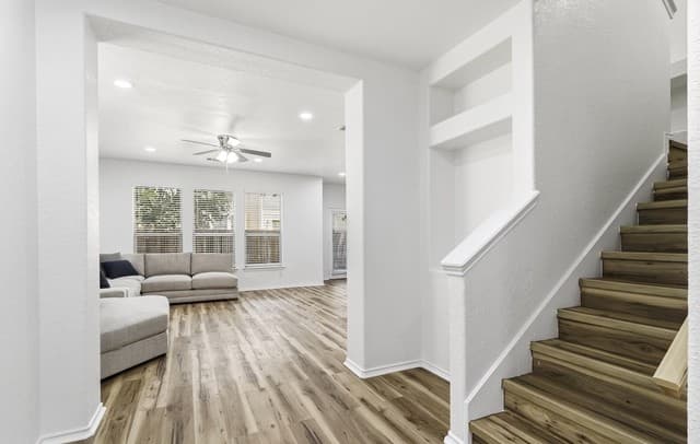 6219  Pecan Tree