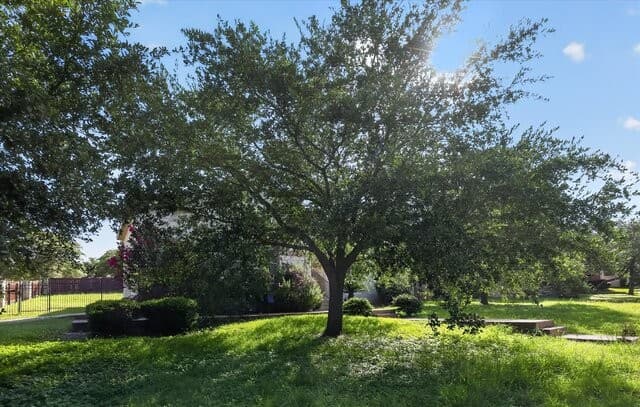 20918  Cactus Ridge, San Antonio, TX 78258 — photo 3