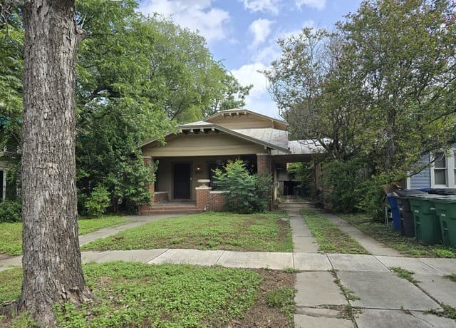 927 W Huisache