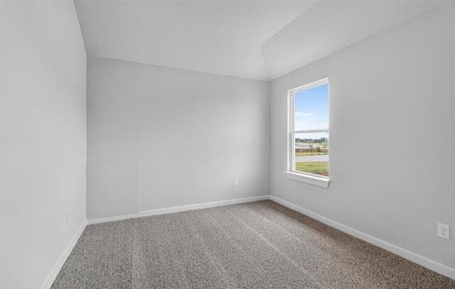 16507  Sweet Cicely, Elmendorf, TX 78112 — photo 15