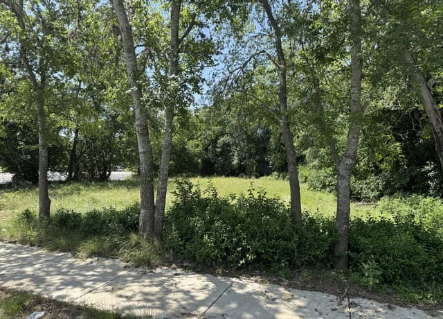 310 S Plant Ave, Boerne, TX 78006 — photo 3