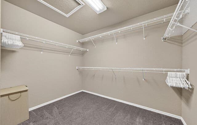 5507  Arcadia Park, San Antonio, TX 78247 — photo 21