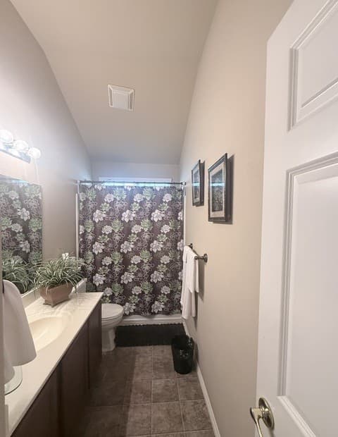 2314  Mission Vis, San Antonio, TX 78223 — photo 9