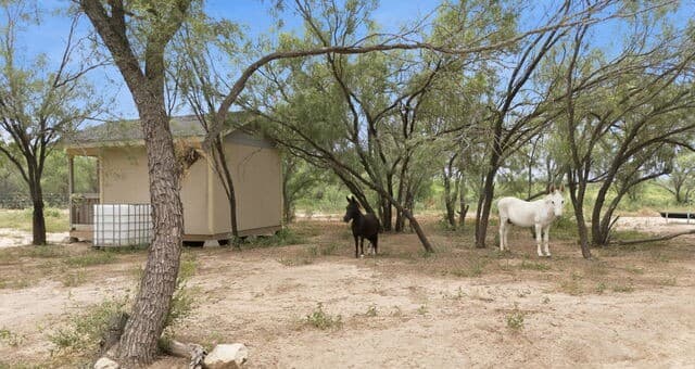 1083  Cr 6610, Devine, TX 78016 — photo 2