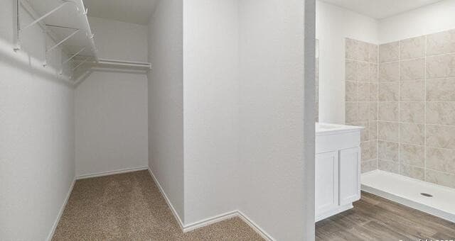 4227  Common Sage, Von Ormy, TX 78073 — photo 23
