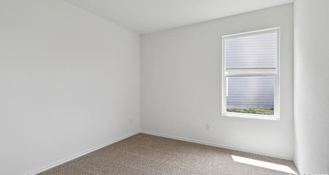 4227  Common Sage, Von Ormy, TX 78073 — photo 24