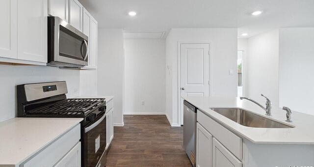 4243  Common Sage, Von Ormy, TX 78073 — photo 8