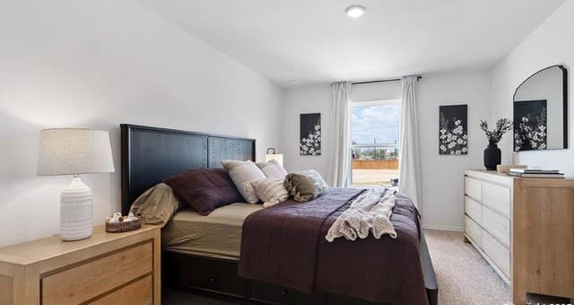 4247  Common Sage, Von Ormy, TX 78073 — photo 19