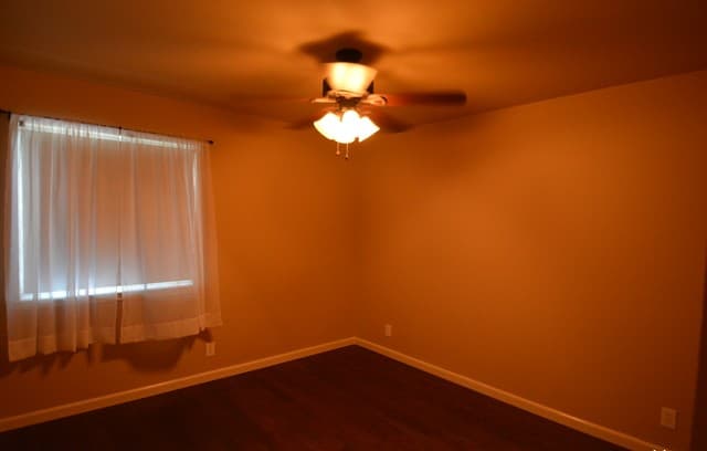 10330  Tiger Paw, San Antonio, TX 78251 — photo 11