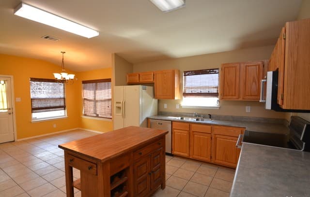 10330  Tiger Paw, San Antonio, TX 78251 — photo 3