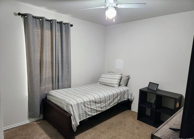 6420  Legato Curve, San Antonio, TX 78252 — photo 10