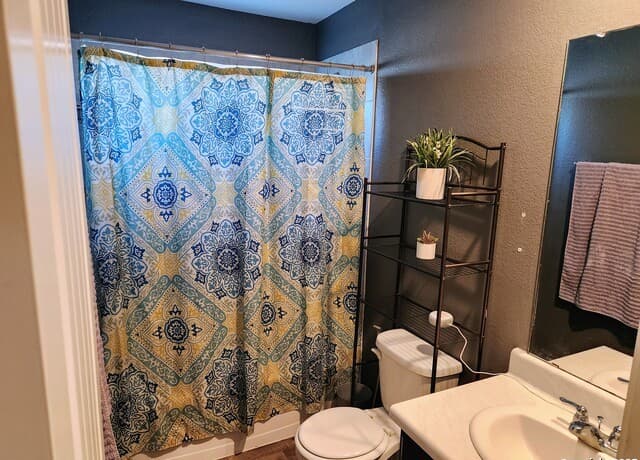 6420  Legato Curve, San Antonio, TX 78252 — photo 9