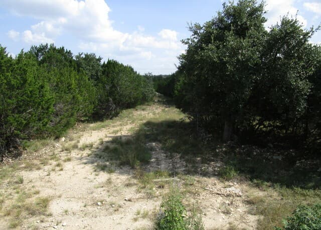 3246  Hawthorne, Spring Branch, TX 78070 — photo 10