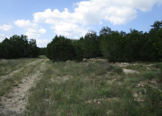 3246  Hawthorne, Spring Branch, TX 78070 — photo 11