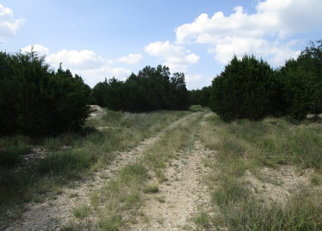 3246  Hawthorne, Spring Branch, TX 78070 — photo 12
