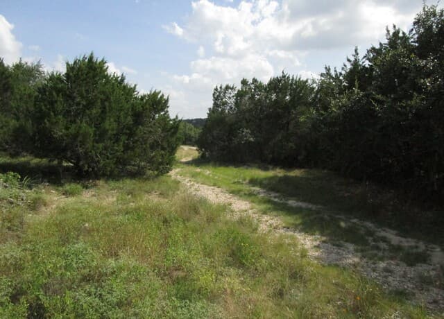 3246  Hawthorne, Spring Branch, TX 78070 — photo 6