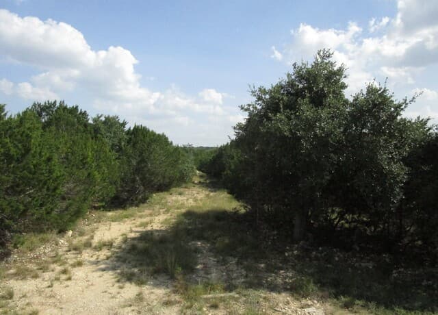 3246  Hawthorne, Spring Branch, TX 78070 — photo 8