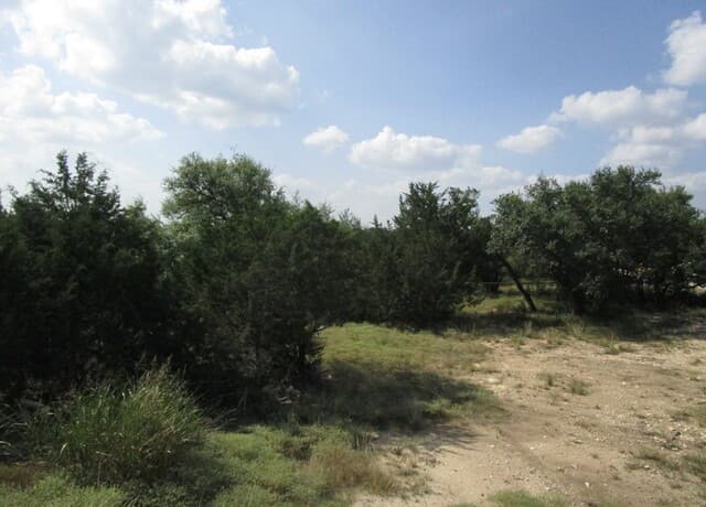 3246  Hawthorne, Spring Branch, TX 78070 — photo 9