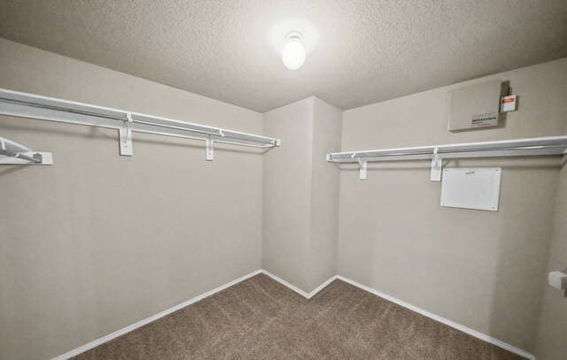 6527  Candleview Ct, San Antonio, TX 78244 — photo 24