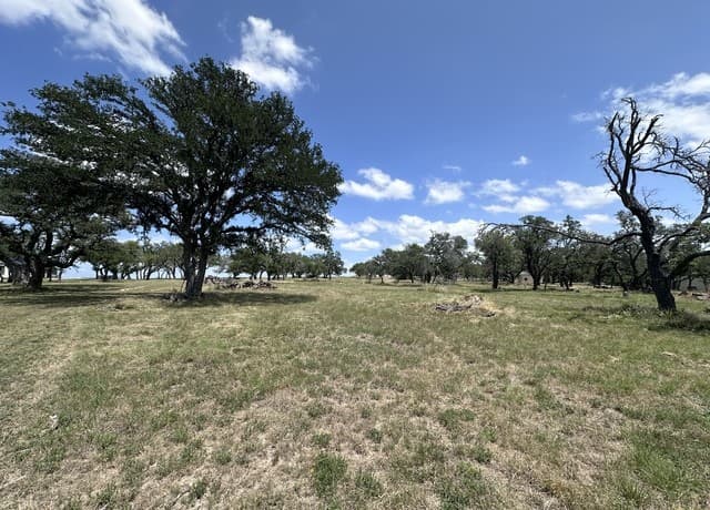 209  Axis Cir, Fredericksburg, TX 78624 — photo 11