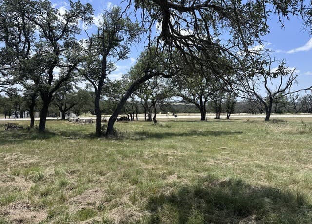 209  Axis Cir, Fredericksburg, TX 78624 — photo 14