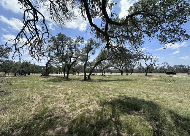209  Axis Cir, Fredericksburg, TX 78624 — photo 15