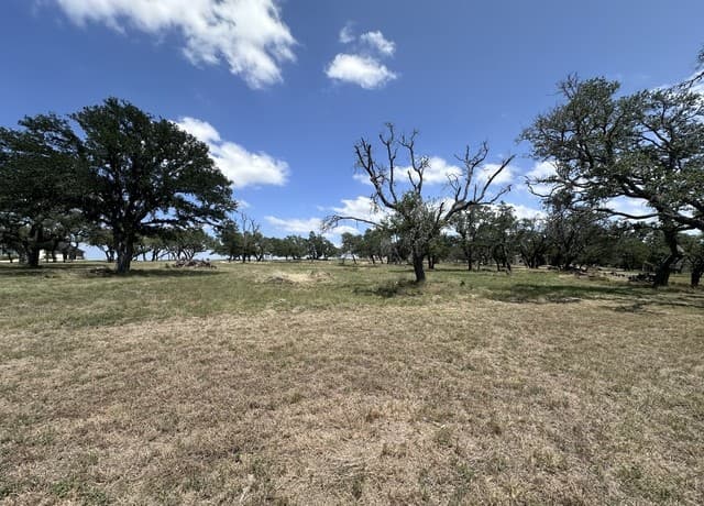 209  Axis Cir, Fredericksburg, TX 78624 — photo 9