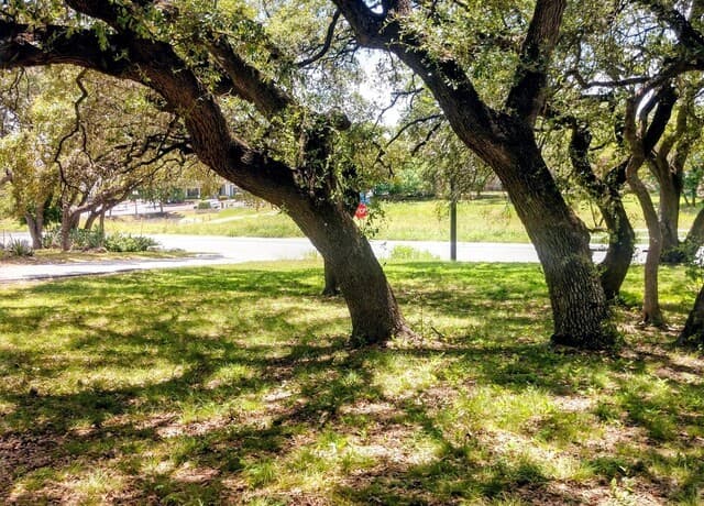 100  Krameria, Castle Hills, TX 78213 — photo 2
