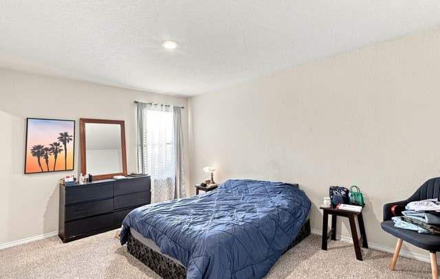 11931  Catbird, San Antonio, TX 78221 — photo 13