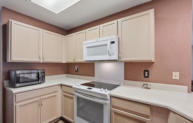 121  Springtree Pkwy, Cibolo, TX 78108 — photo 11