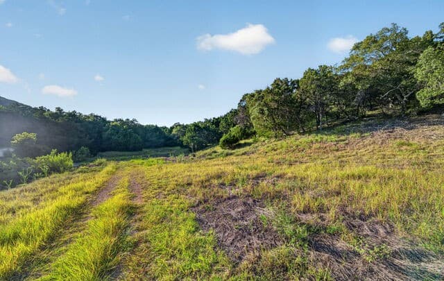 449  Shepherds Crook, Helotes, TX 78023 — photo 23