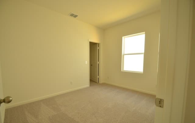 870  Barnacle Ct, Adkins, TX 78101 — photo 7