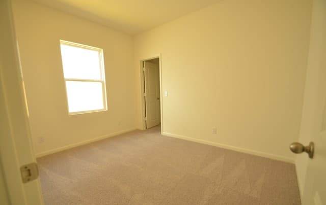 870  Barnacle Ct, Adkins, TX 78101 — photo 9