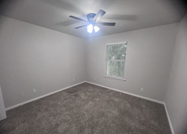 2244  Eastman Ave, New Braunfels, TX 78130 — photo 12