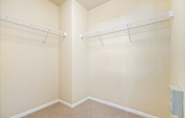 8506  Raton Way, Helotes, TX 78023 — photo 17