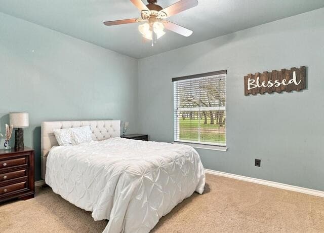 316  Governors Dr, Floresville, TX 78114 — photo 24