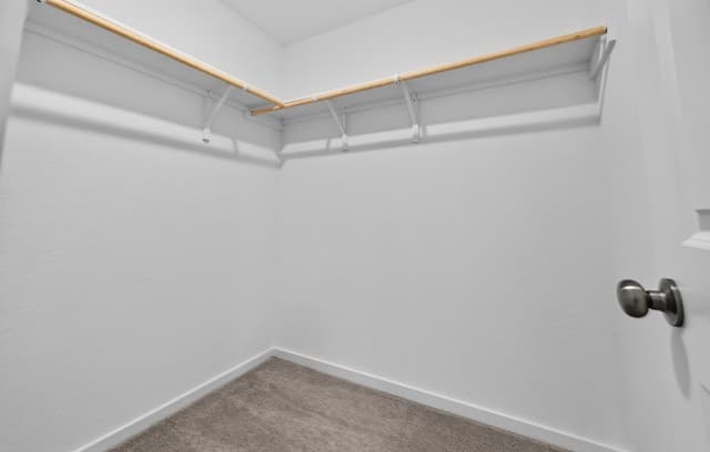 8026  Biggio Ln, Converse, TX 78109 — photo 14