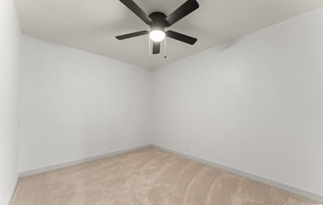 1638 W Ashby Pl, San Antonio, TX 78201 — photo 12