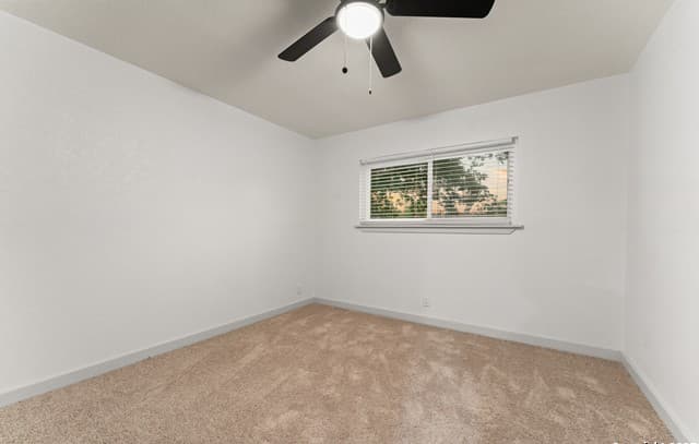 1638 W Ashby Pl, San Antonio, TX 78201 — photo 18