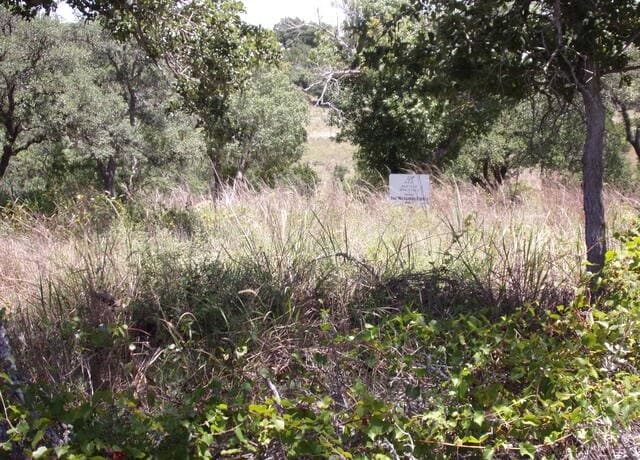 TBD E Twisted Oak Trail