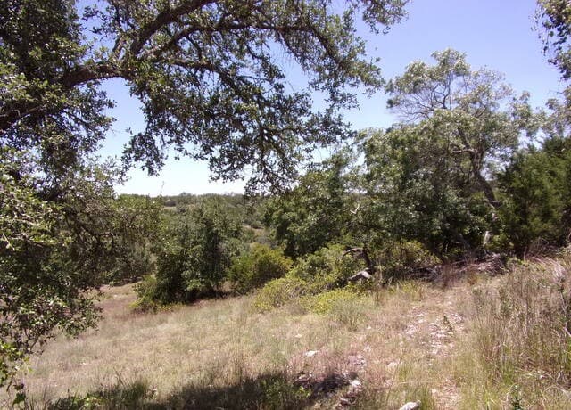 TBD E Twisted Oak Trail, Blanco, TX 78606 — photo 11