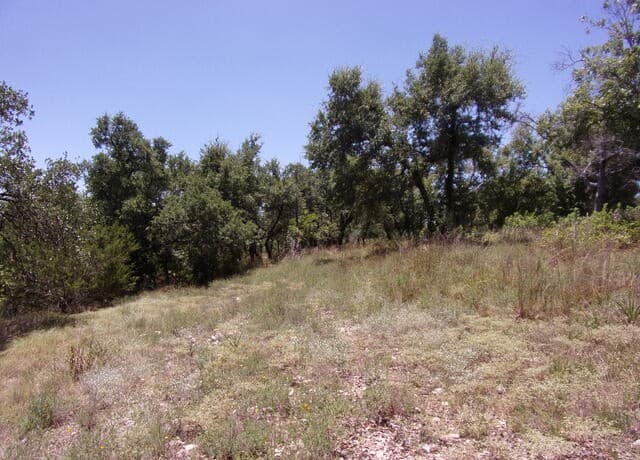 TBD E Twisted Oak Trail, Blanco, TX 78606 — photo 12