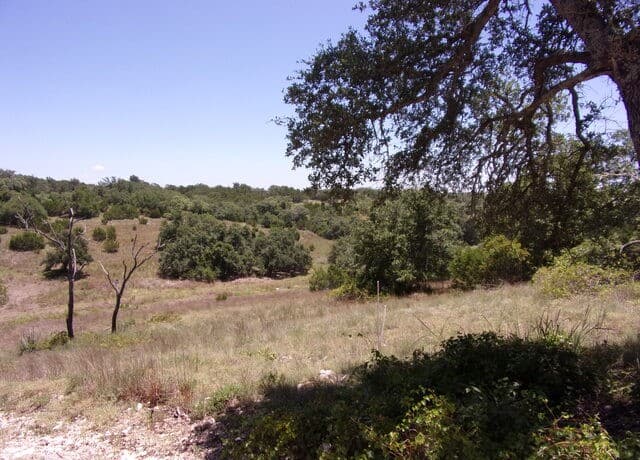 TBD E Twisted Oak Trail, Blanco, TX 78606 — photo 2